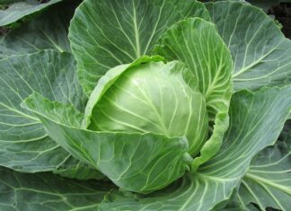 Co to jest margin na Forex? Co to jest margin na Forex?