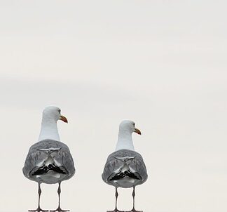 Co integruje zintegrowana komunikacja marketingowa?