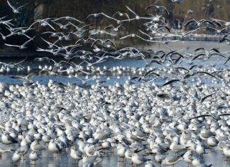 Czy spadną ceny działek w 2023 roku? Czy spadną ceny działek w 2023 roku?