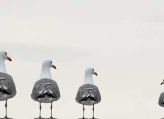 Na czym polega system zintegrowanej komunikacji marketingowej? Na czym polega system zintegrowanej komunikacji marketingowej?