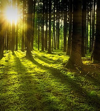 Kto może sporządzać audyt efektywności energetycznej?