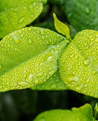 Czy warto być eko? Czy warto być eko?