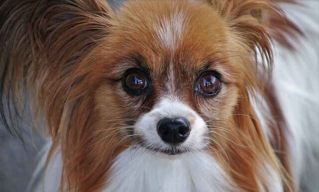 Czego brakuje w małych miejscowościach? Czego brakuje w małych miejscowościach?