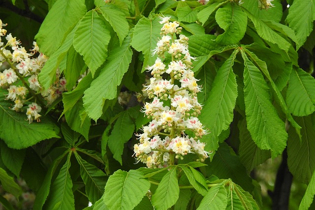 Czy na Ukrainie jest matura? Czy na Ukrainie jest matura?