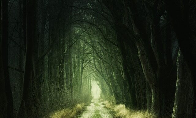 Komu przysługuje przejście warunkowe?