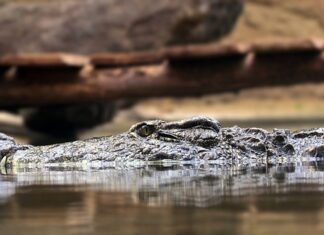 Jakie są zasady dobrej organizacji pracy? Jakie są zasady dobrej organizacji pracy?
