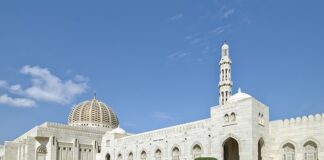 Jaki jest główny cel badań marketingowych?