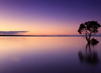 Co zanieczyszcza wodę?